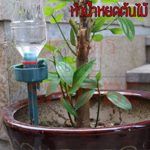 ภาพหน้าปกสินค้าหัวน้ำหยดต้นไม้ ที่รดน้ำต้นไม้อัตโนมัติ น้ำหยด DIY ส่งจากไทยใน1วัน   ใช้กับขวดน้ำใหญ่ 5-7วัน จากร้าน shopbk_ บน Shopee