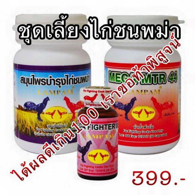 ชุดเลี้ยงไก่ชนพม่า-แรงไม่มีตก