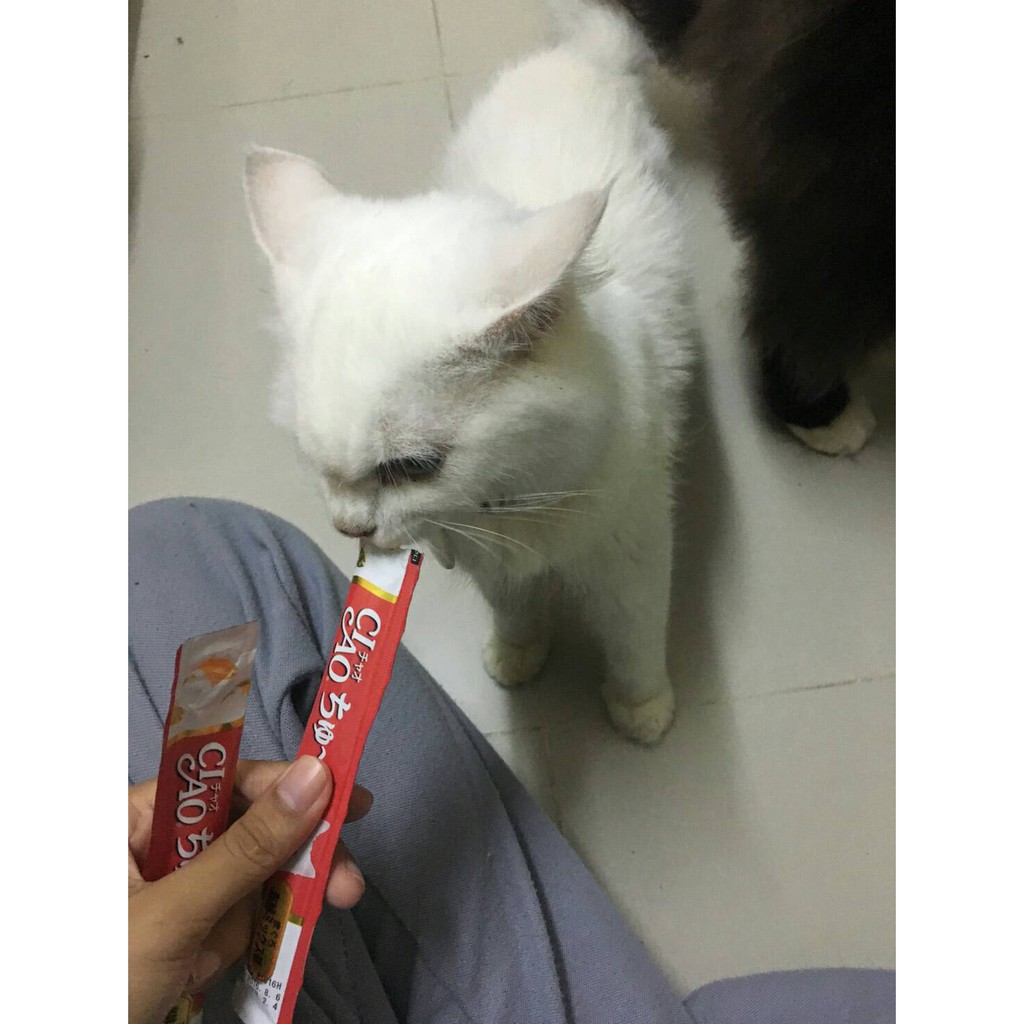 New! Ciao Skin and Coat ขนมแมวเลีย สูตรบำรุงขน 4รสรวม 50ซอง - USA-657 ...