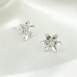 DSP ต่างหูเงินแท้ดอกกาสะลอง ต่างหูเงินดอกไม้ ต่างหูเงินแท้ 925: DSP 925 Sterling Silver Earing [ESPB0612]