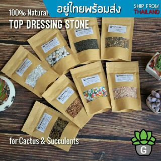 ภาพหน้าปกสินค้าTop Dressing หินโรย 1 ถุง G Succulents กุหลาบหินนำเข้า ไม้อวบน้ำ ที่เกี่ยวข้อง