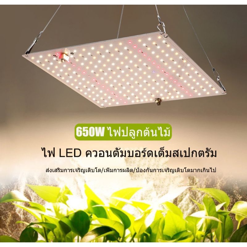 ไฟปลูกต้นไม้ ไฟปลูกสมุนไพร 600W Led Grow Light 600W Samsung chips ...