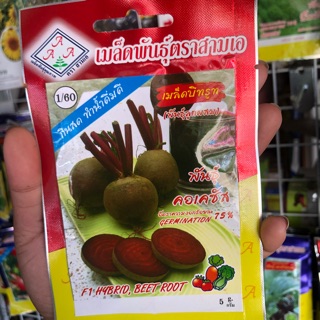 เมล็ดบีทรูท ขายส่ง18฿ (พันธุ์ลูกผสม) บีทรูท พันธุ์ คอเคซัส F1 hybrid, Beet Root ขนาด 5g ตรา สามเอ ราคาถูก สินค้าคุ