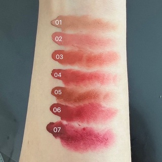 ภาพขนาดย่อของภาพหน้าปกสินค้าGALA HONEY VELVET COLOUR LIP MATTE จากร้าน mildlionz บน Shopee