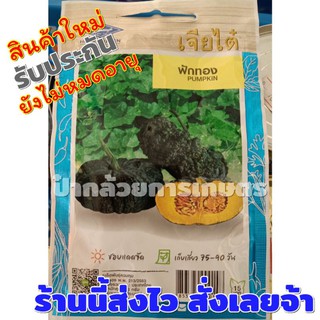 เมล็ดฟักทอง  เมล็ดพันธุ์ผักเจียไต๋ ซอง15บาท ฟักทอง