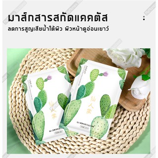 ภาพขนาดย่อของภาพหน้าปกสินค้ามาส์กสารสกัดจากแคคตัส (Cactus Extract Nourishing) มาส์กหน้าเพิ่มความชุ่มชื้นยาวนานตลอดวัน ลดการระคายเคืองจากมลพิษ จากร้าน memoneythailand บน Shopee ภาพที่ 5