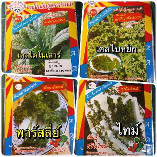 เมล็ดพันธุ์ ตราสามA เคล เคลใบหยิก ไทม์ พาร์สลี่ย์