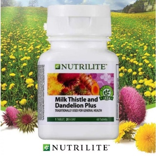 นิวทริไลท์ มิลค์ทิสเทิล NUTRILITE Milk Thistle and Dandelion Plus (60 tab)