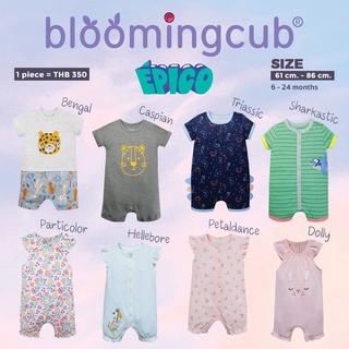 ฺBloomingcub รอมเปอร์เด็ก จั๊มสูทเด็ก บอดี้สูทเด็ก ชุดหมีขาสั้น ชุดเด็กอ่อน size 6m-24m ผ้าคอตตอน 100% Cotton ผ้านิ่ม