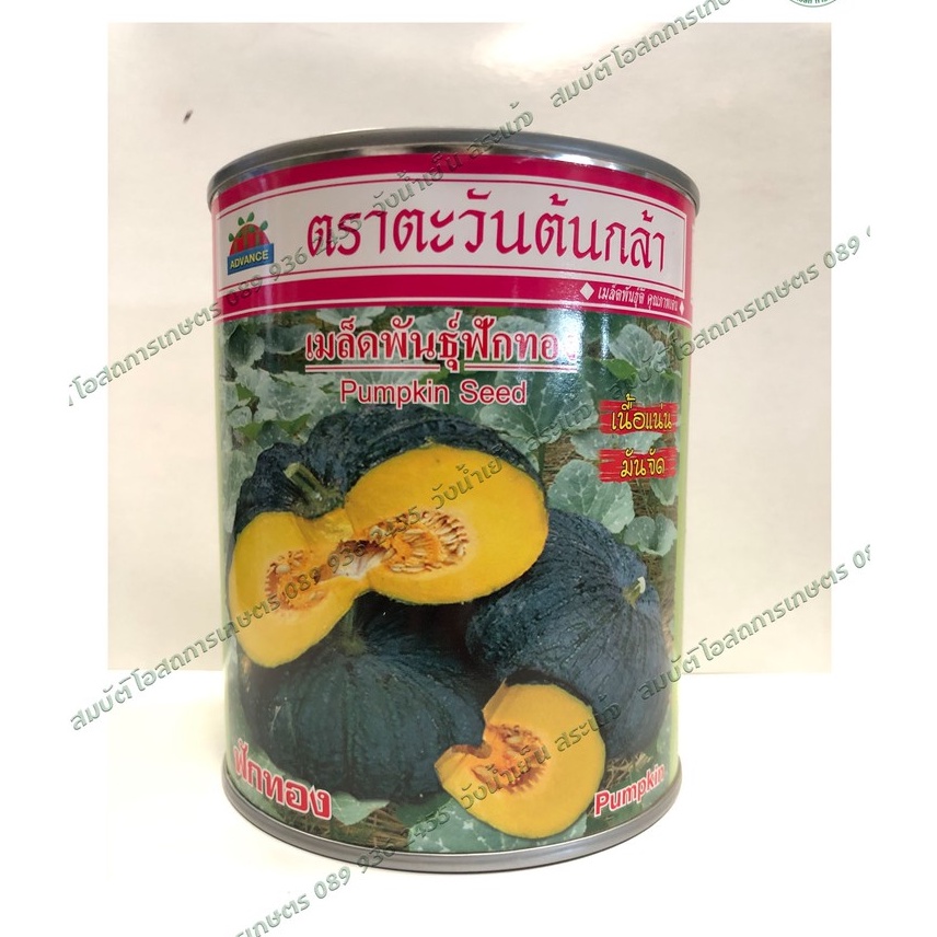 ราคาและรีวิวเมล็ดพันธุ์ฟักทอง OP ขนาด 250 กรัม (ตราตะวันต้นกล้า)