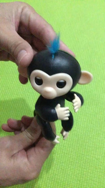happy-monkey