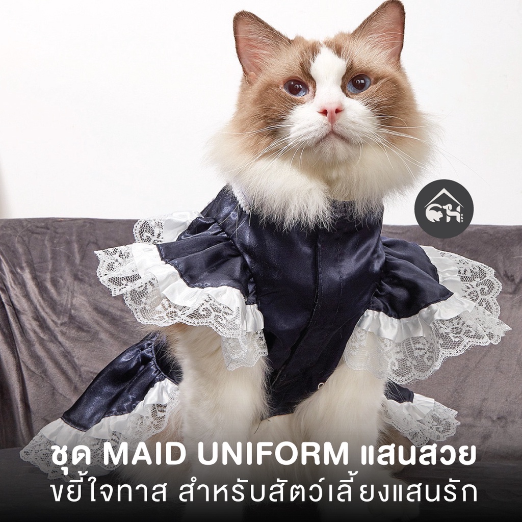 ชุด-maid-uniform-แสนสวย-ขยี้ใจทาส-สำหรับสัตว์เลี้ยงแสนรัก