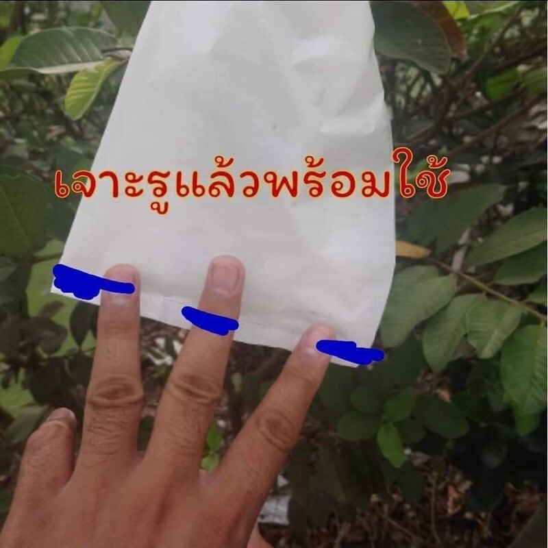 ถุงห่อผลไม้-ขนาด-6-14-5-แพ็ค