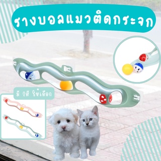 🐱รางบอลแมว ของเล่นแมว ลูกบอลแมว ลูกบอลล่อแมว รางบอลติดกระจก ของเล่นสัตว์เลี้ยง ติดกระจก พร้อมส่ง🐱