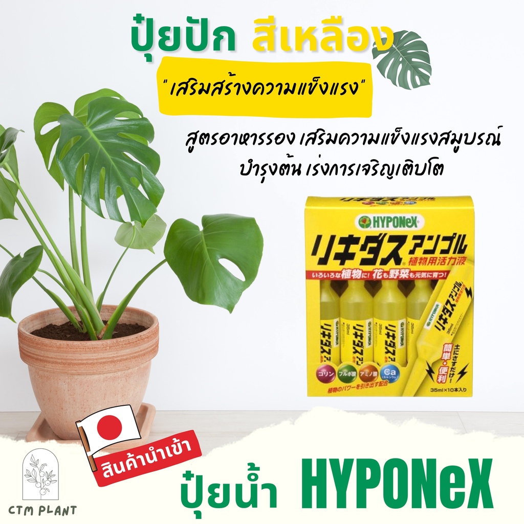 hyponex-ปุ๋ยปัก-hyponex-ampoule-แยกขาย-1-หลอด-ปุ๋ยน้ำจากประเทศญี่ปุ่น-ปุ๋ยปักญี่ปุ่น