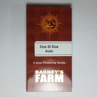 เมล็ดกัญชา Barneys farm Do Si Dos Auto 5 cannabis seeds