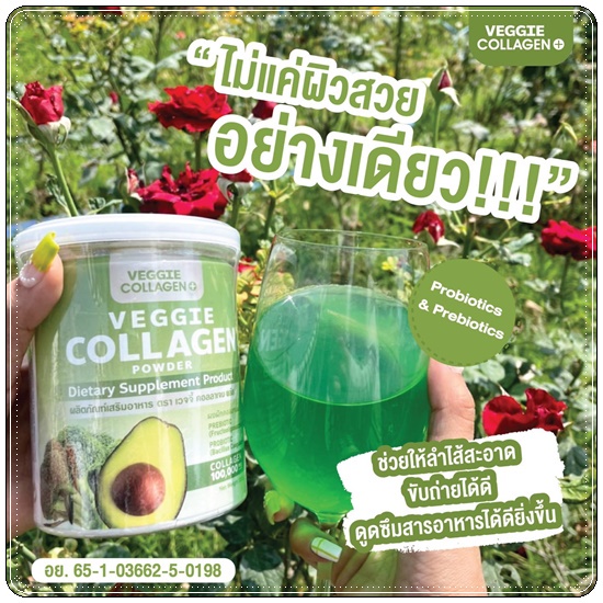 คอลลาเจนผัก-veggie-collagen-powder-หุ่นสวย-ผิวขาวใส-1กระปุก