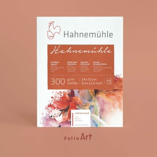 FOLIO ART : กระดาษวาดภาพ Hahnemühle paper pad  รุ่น hahnemuhle 300 แกรม เล่มฉีก ขนาด 24x32 cm. 10 แผ่น 8570122