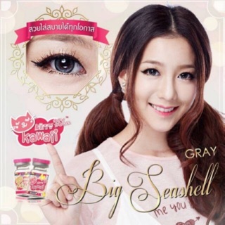 Big Seashell Gray บิ๊กอาย สีเทา โทนแบ๊ว Kitty Kawaii เลนส์พรีเมี่ยม ค่าอมน้ำสูง Contact Lens Bigeye คอนแทคเลนส์ ค่าสายตา