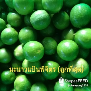 ภาพหน้าปกสินค้ามะนาว สด  มะนาวแป้นพิจิตร 5กิโลกรัม กรัม 150 บาท (รวมกล่องส่งของ) ประมาณ 10_20 ลูก ต่อ1กิโลกรัม ( ขายถูกที่สุด ) ที่เกี่ยวข้อง