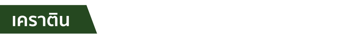 webp_image