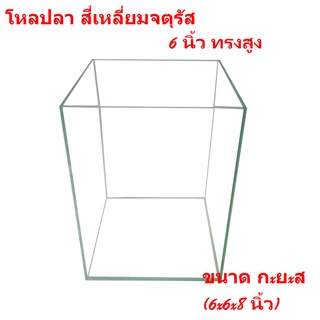 ตู้ปลาทรงด้านเท่า ตู้เลี้ยงปลากัด ตู้ไม้น้ำ โหลแก้วปลูกแคคตัส 6x6x8นิ้ว