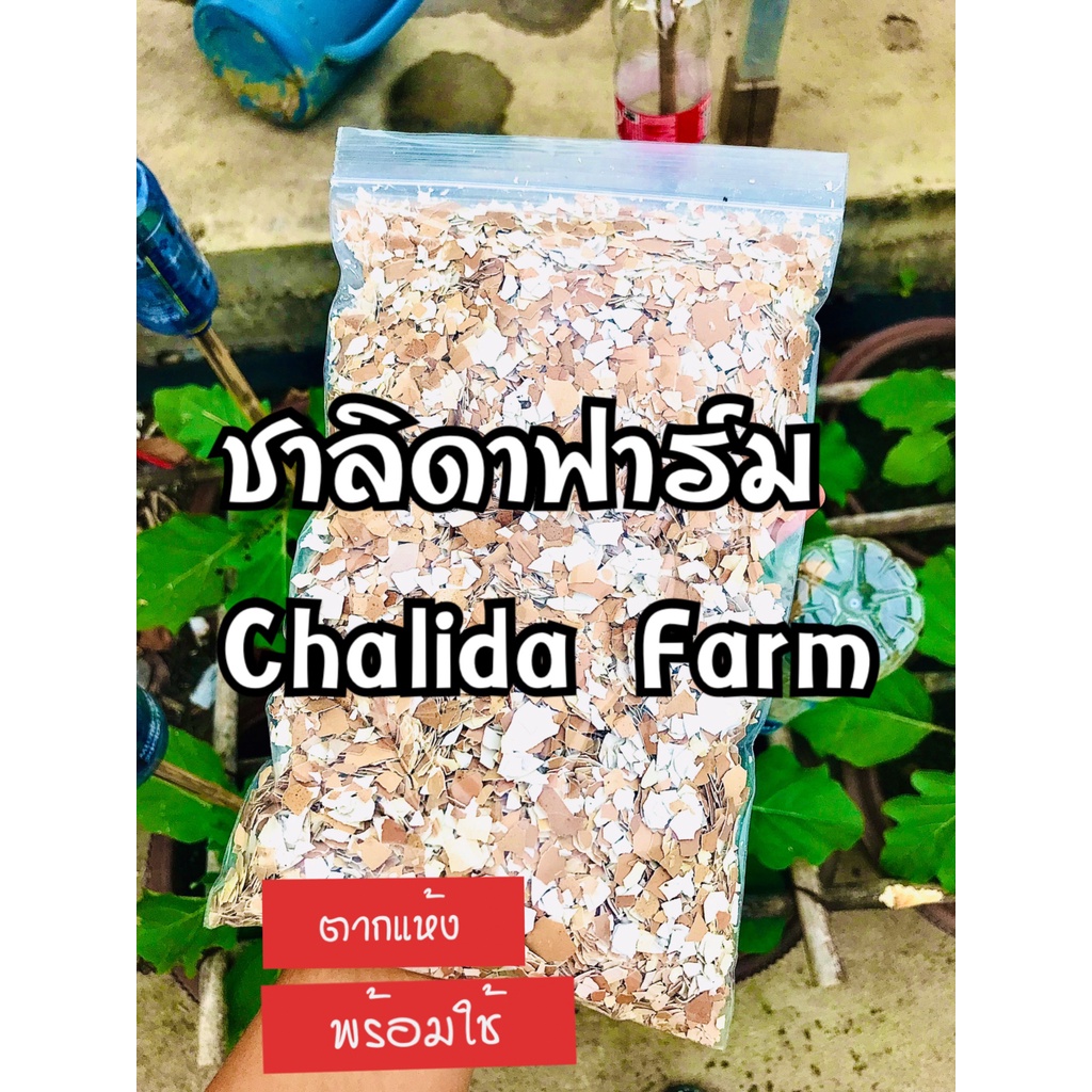 เปลือกไข่-เปลือกไข่บด-เปลือกไข่ใส่ต้นไม้-เปลือกไข่ไก่-ตากแห้ง-บดหยาบ-ผ่านการฆ่าเชื้อแล้ว-พร้อมใช้-โลละ55บาท