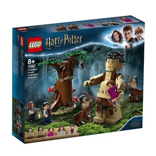 75967 : LEGO Harry Potter Forbidden Forest Umbridges Encounter (กล่องมีตำหนิเล็กน้อย)​