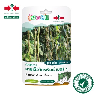 ศรแดง เมล็ดพันธุ์ ถั่วฝักยาวลายเสือจักรพันธ์เบอร์1 จันกะผัก (East West Seed) เมล็ดพันธุ์ผัก ตราศรแดง