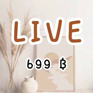 LIVE📍 ราคา 699 กดตรงนี้