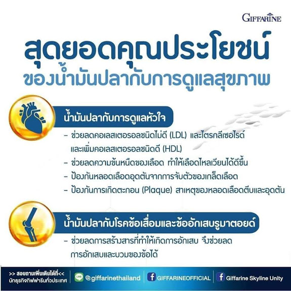 น้ำมันปลา-น้ำมันปลา500-น้ำมันตับปลา-ยาบำรุงสมอง-เพิ่มการเรียนรู้-จำดี-ฉลาด-ยาบำรุงข้อเข่า-ข้อเสื่อมอักเสบ