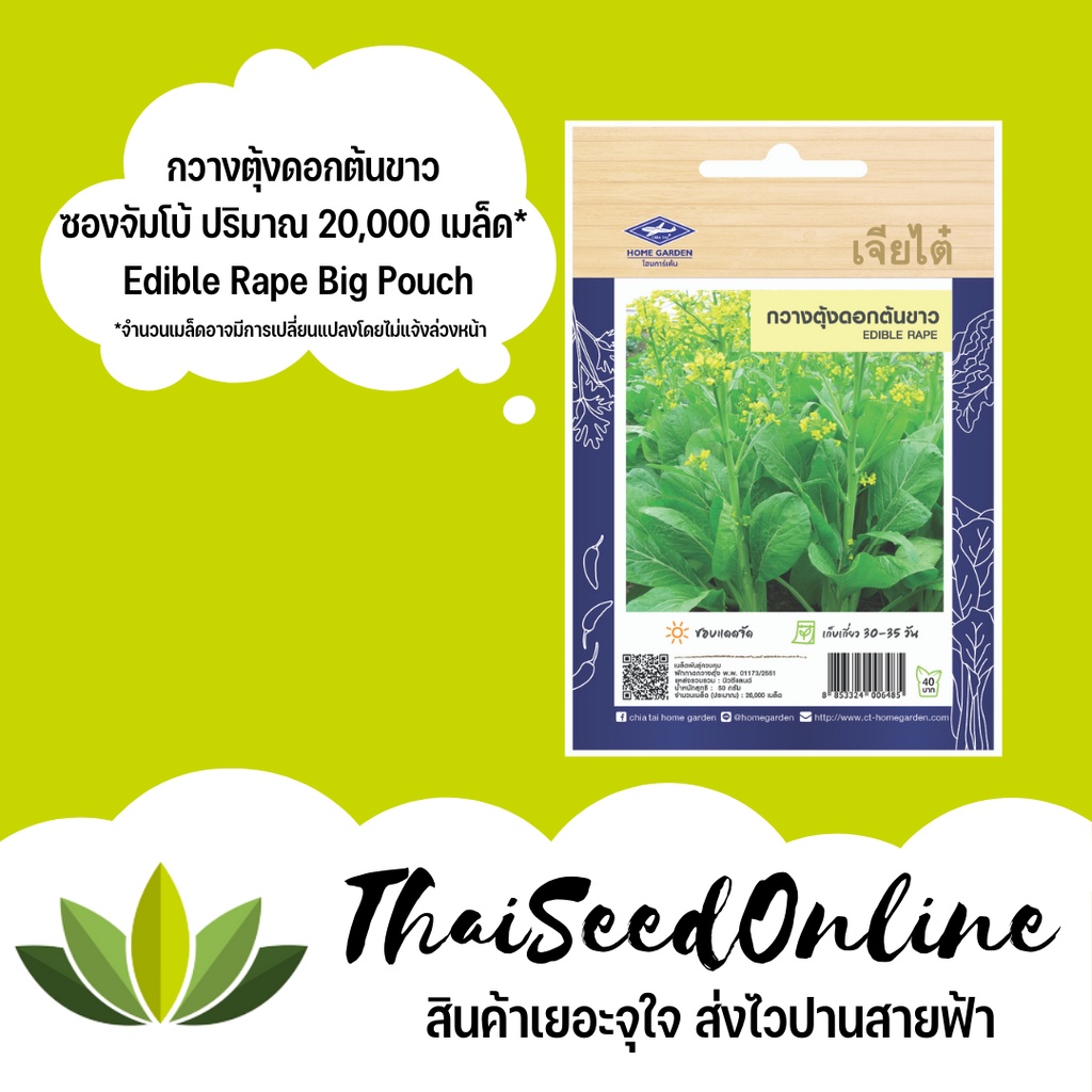 ภาพสินค้าเมล็ดพันธ์ุ กวางตุ้งดอกต้นขาว 26, 000 เมล็ด ซองจัมโบ้ เพิ่มปริมาณมากกว่า 3เท่า  ตราเจียไต๋ Edible Rape จากร้าน thaiseedonline บน Shopee ภาพที่ 1