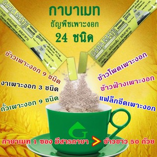 ภาพขนาดย่อของภาพหน้าปกสินค้ากาบาเมท GABA MATE ผงความสุข เครื่องดื่มธัญพืชเพาะงอก 24 ชนิด พร้อมชงดื่ม ผสมอาหาร ช่วยให้สมองผ่อนคลาย สุขภาพดี Superfood จากร้าน mali42.shop บน Shopee ภาพที่ 1