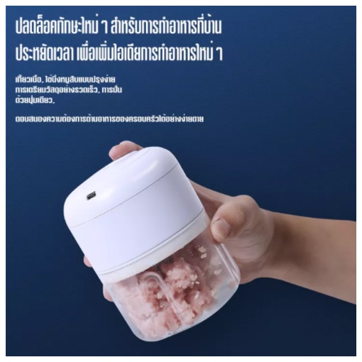 เครื่องบดไฟฟ้า-เครื่องบดสับไฟฟ้า-ทำจากสแตนเลส-3-แฉก-250ml-เครื่องบดเนื้อ-เครื่องบดกระเทียม-เครื่องบดพริก