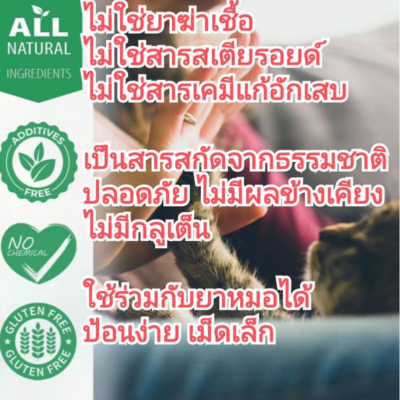 แบ่งขาย-สุนัข-oral-health-สุนัขมีกลิ่นปาก-หมาเหงือกอักเสบ-หมาปวดฟัน