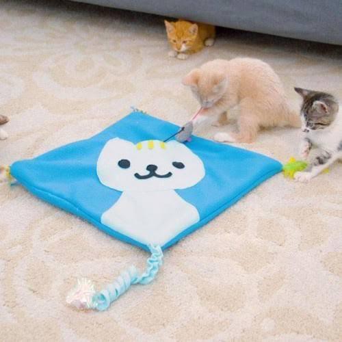 ของเล่นแมว-kitty-cat-mat-เสื่อแมวคิตตี้-ชิกๆมหัศจรรย์