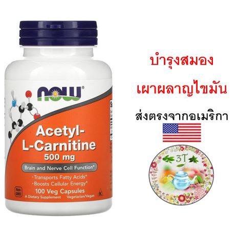 พร้อมส่ง-now-acetyl-l-carnitine-500-mg-100-veg-capsules-บำรุงสมอง-เผาผลาญไขมัน-ความอ้วน-ต้านอนุมูลอิสระ-ลดเมื่อยล้า