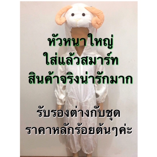 ชุดแกะ-ชุดแฟนซีแกะ-ชุกแฟนซีสัตว์-ขุดสัตว์-sheep-fancy-costume