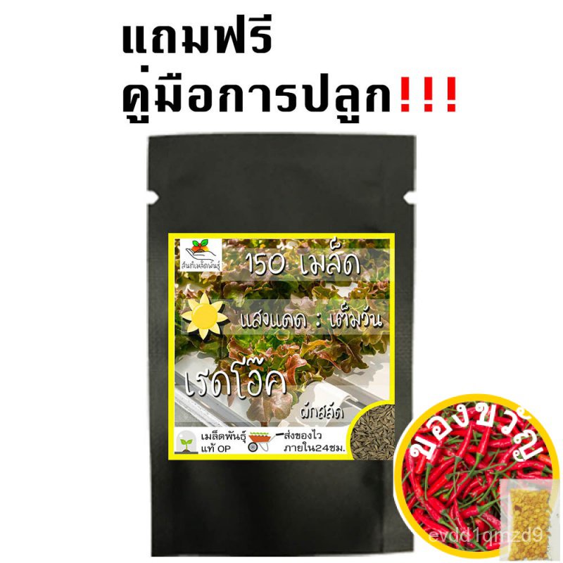 เมล็ดพันธุ์-ผักสลัด-เรดโอ๊ค-1000-เมล็ด-red-oak-leaf-lettuce-seeds-เมล็ดพันธุ์แท้100-นำเข้าจากต่างประเทศ-ปลูกผัก-สวนครัว