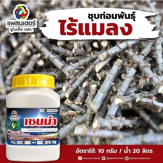 เซนน่า-ไทอะมีทอกแซม-ขนาด-100-กรัม