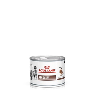 Royal Canin VET Can Dog Recovery 195 g อาหารสุนัข ป่วย พักฟื้น ผ่าตัด อาหารเปียก 1 กระป๋อง