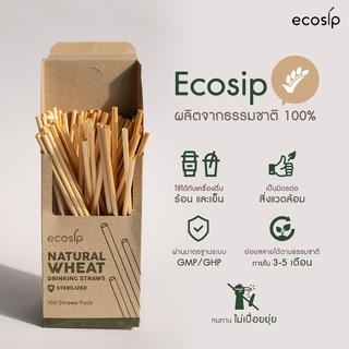ขายส่ง!!! หลอดลำข้าวสาลี Natural wheat straw หลอดจากธรรมชาติ ขนาด 20 cm. 3,000 หลอด (500หลอด/กล่อง)