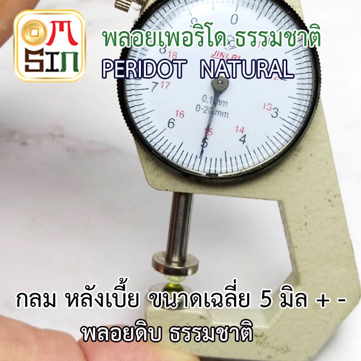 a189-omsin-เฉลี่ย-5-มิล-หลังเบี้ย-กลม-พลอยเพอริโด-peridot-สีเขียวอ่อน-พลอยสด-ไม่เผา-ธรรมชาติแท้