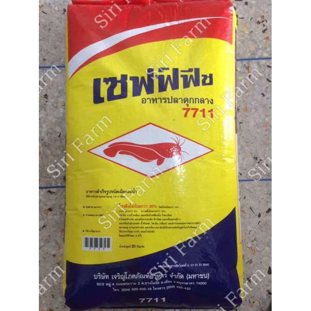 My Image 31