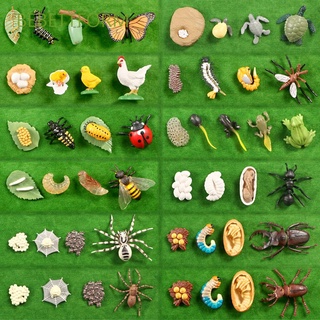 Bebettform โมเดลสัตว์ แมลงปอ ไก่ เต่าทองจําลอง ของเล่นเสริมการเรียนรู้ สําหรับเด็กอนุบาล