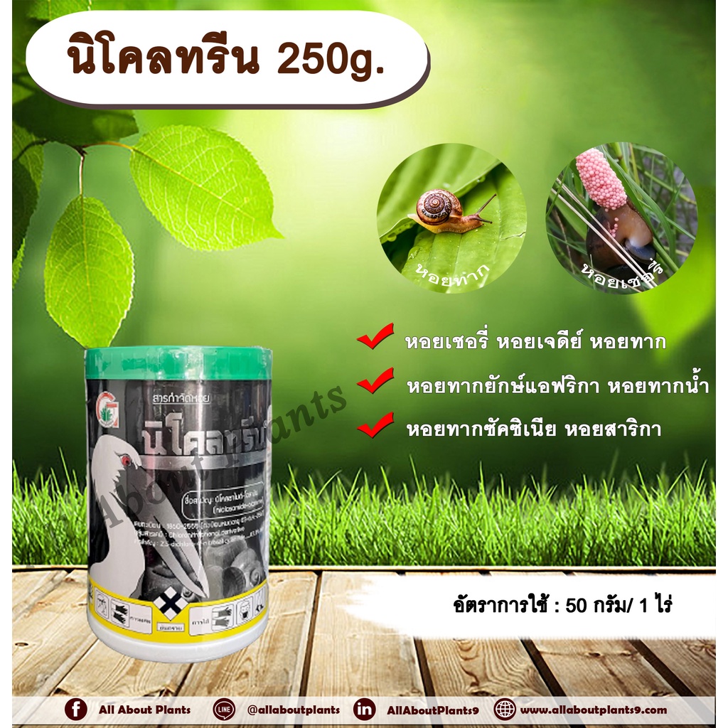 นิโคลทรีน-250g-นิโคซาไมด์-โอลามีน-สารกำจัดหอย-เบื่อหอย-หอยเชอรี่-หอยทาก-หอยเจดีย์-หอยศัตรูพืช-พ่นหรือหยด