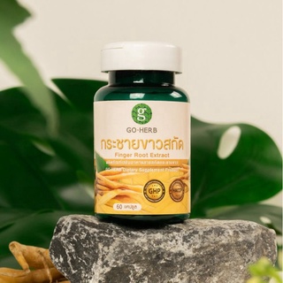 GO HERB กระชายขาวสกัด ตราโกเฮิร์บ (สารสกัดกระชายขาว 200มก.)