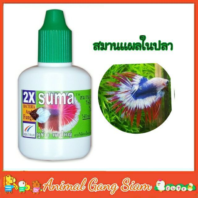 suma-x2-ซูม่า-ยาสำหรับปลากัด-ยาสมานแผล-ยารักษาปลากัด-12ml