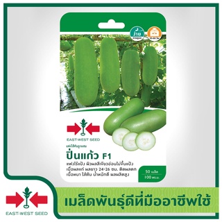 East-West Seed เมล็ดพันธุ์แฟง (Wax gourd seeds) ปิ่นแก้ว F1 เมล็ดพันธุ์ผัก เมล็ด（นี่มันเมล็ดพืช ไม่ใช่พืช!）