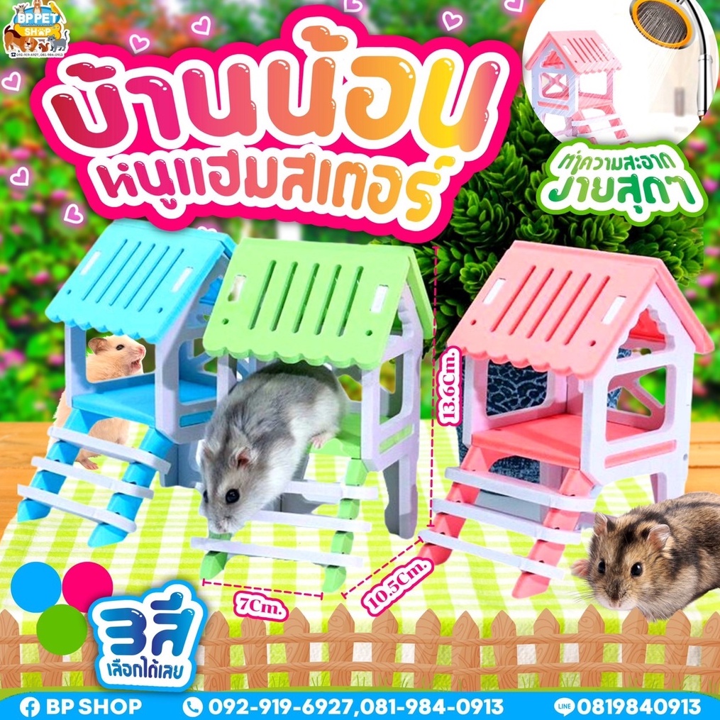 บ้านแฮมเตอร์-ของเล่นแฮมเตอร์-บ้านบันไดซี่-บ้านหนูแฮมสเตอร์-พร้อมส่ง-hamster-house